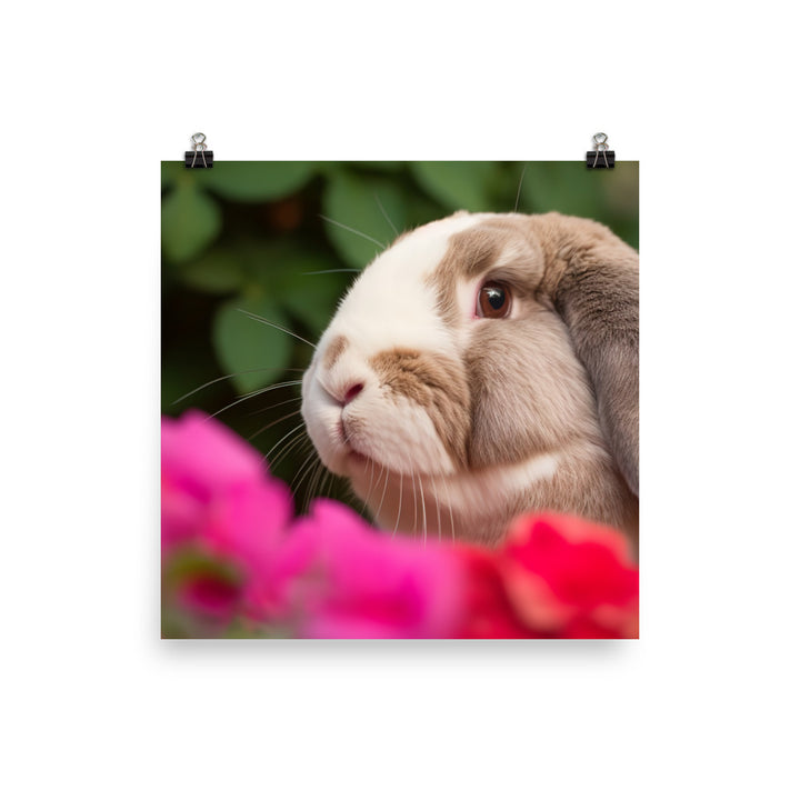 Majestic French Lop Photo paper poster - PosterfyAI.com