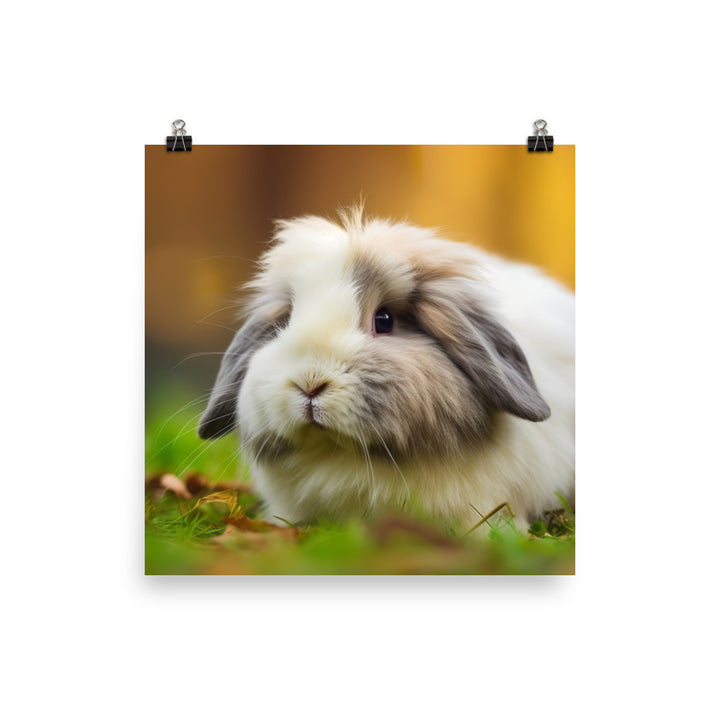 Fluffy American Fuzzy Lop Photo paper poster - PosterfyAI.com