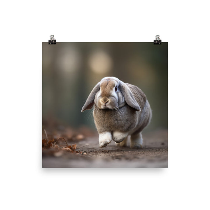 Adventurous English Lop Photo paper poster - PosterfyAI.com