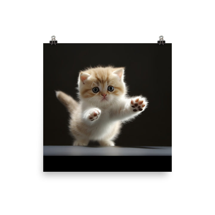 Exotic Shorthair Kitten Photo paper poster - PosterfyAI.com