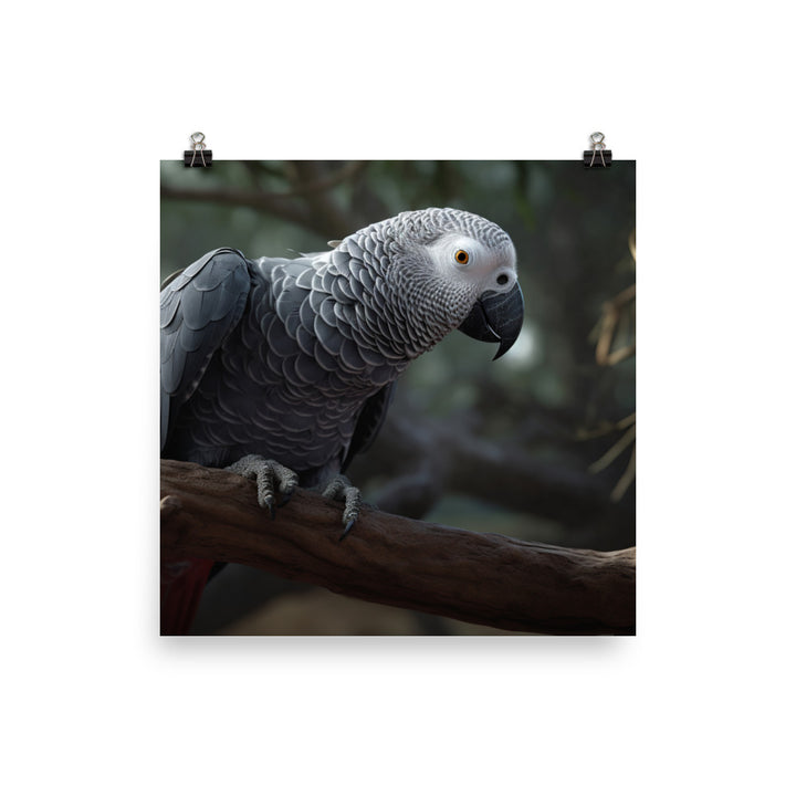 Curious African Grey Parrot Photo paper poster - PosterfyAI.com