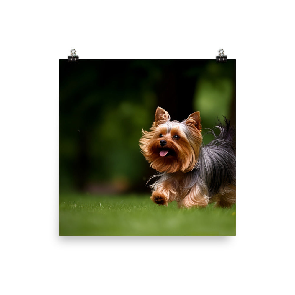 Yorkshire Terrier on-the-Go Photo paper poster - PosterfyAI.com