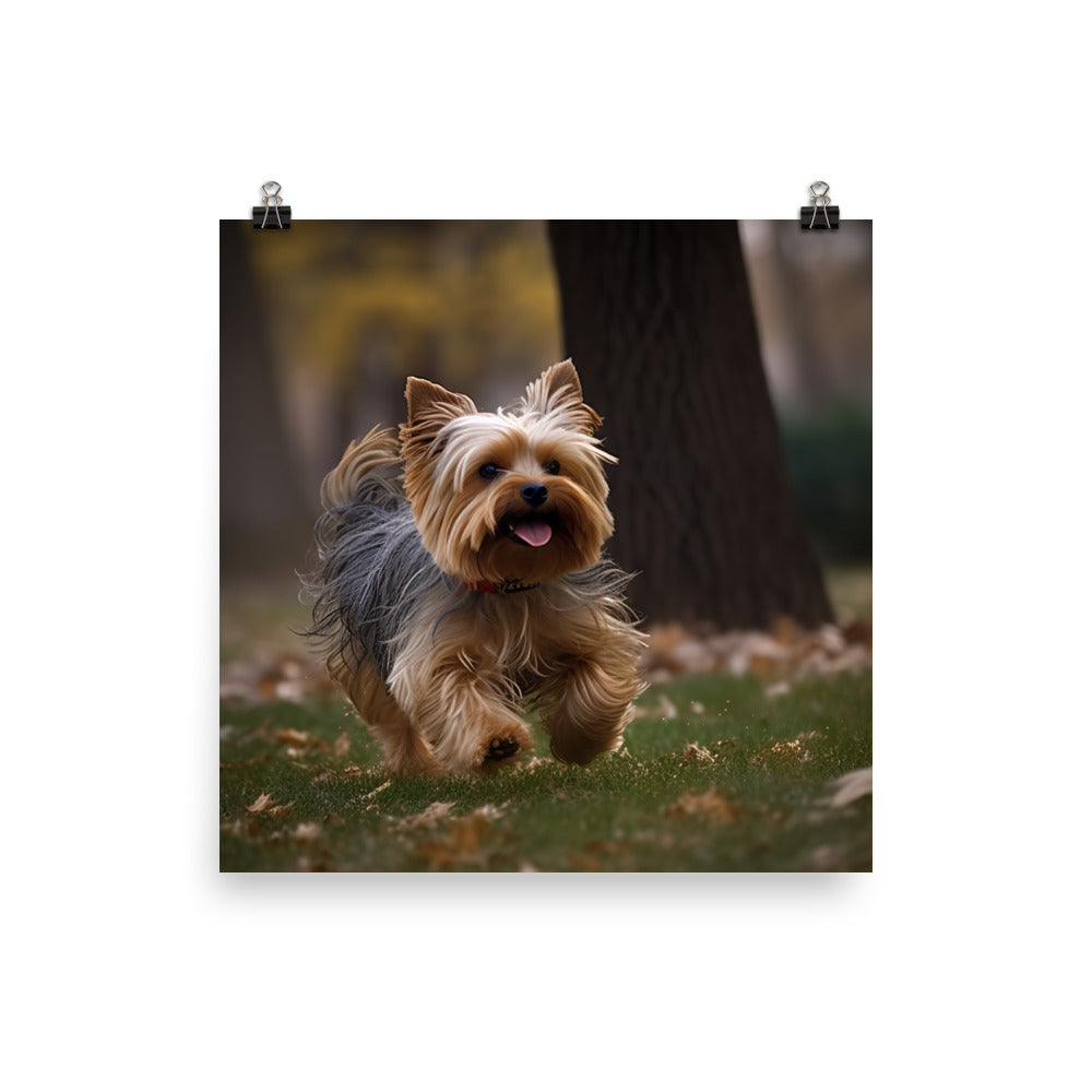 Yorkshire Terrier on-the-Go Photo paper poster - PosterfyAI.com