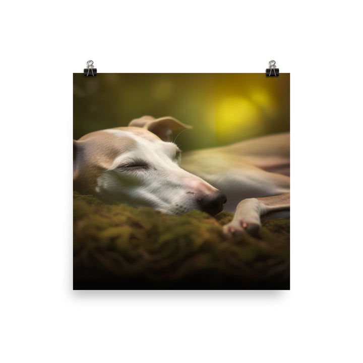 Whippet Beauty Sleep Photo paper poster - PosterfyAI.com