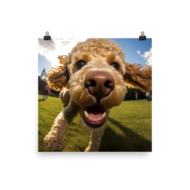 The Playful Poodle Photo paper poster - PosterfyAI.com