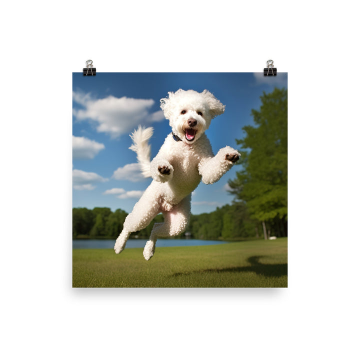 The Playful Poodle in Action Photo paper poster - PosterfyAI.com