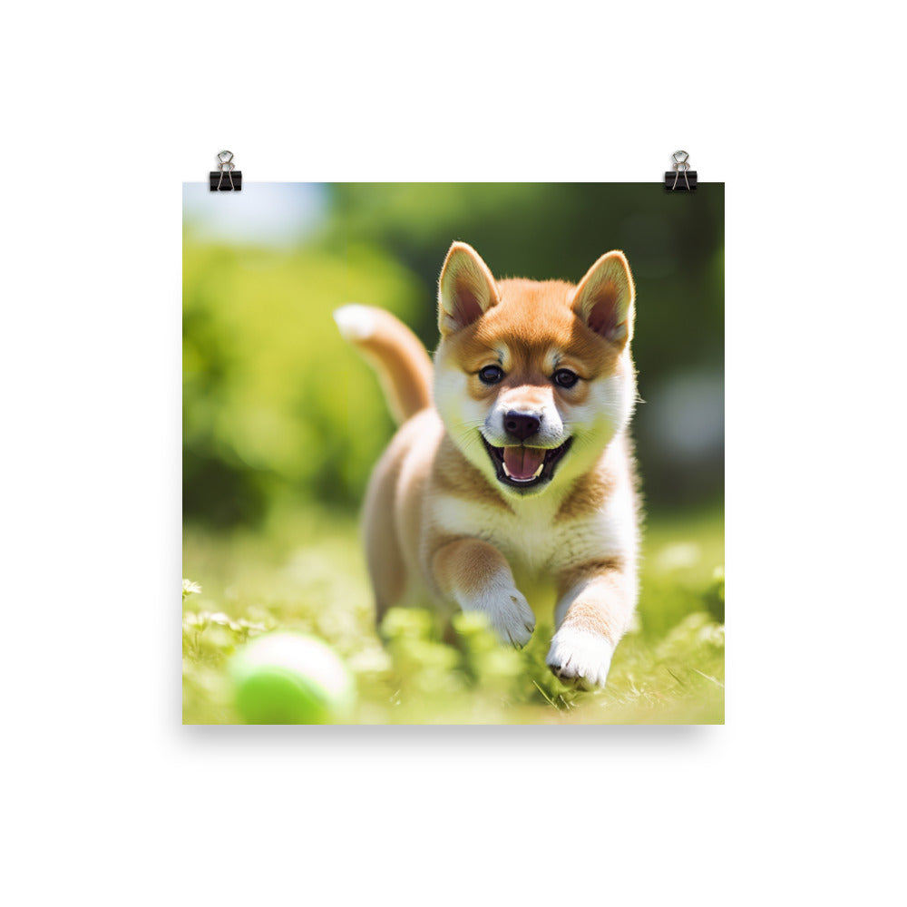 Shiba Inu Pup Playing Photo paper poster - PosterfyAI.com