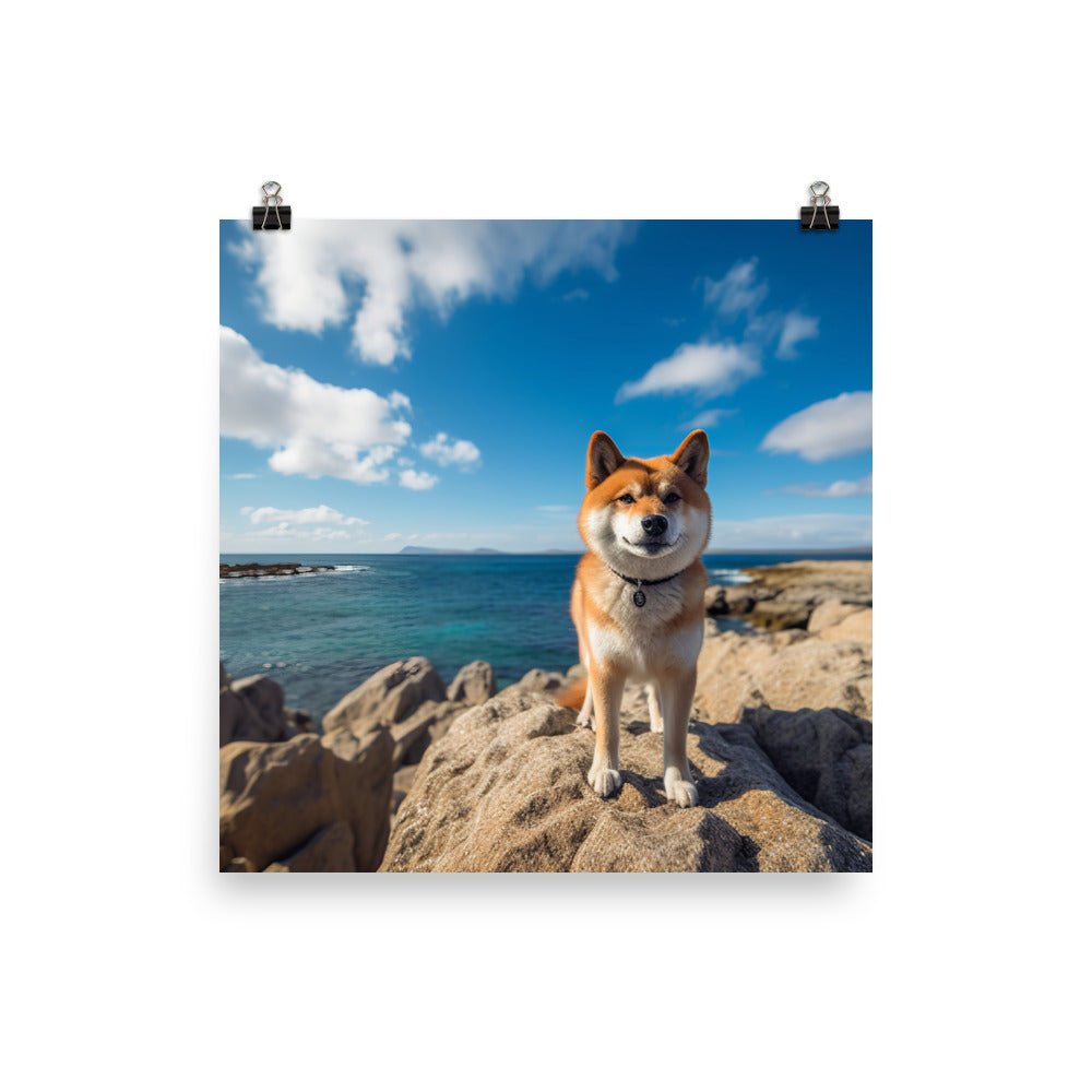 Shiba Inu Gazing Out Photo paper poster - PosterfyAI.com