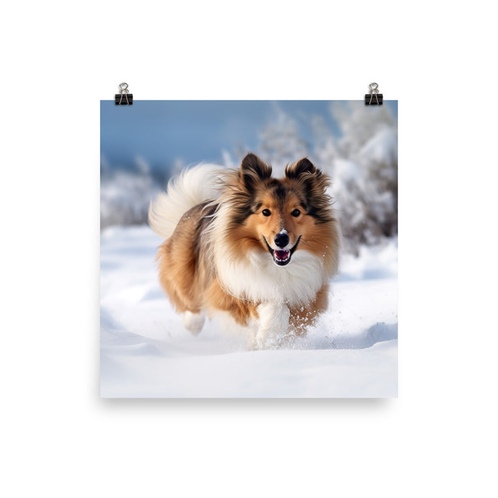 Shetland Sheepdog Playing in the Snow Photo paper poster - PosterfyAI.com