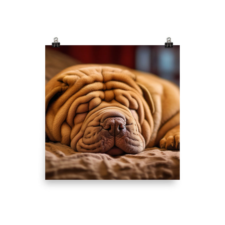 Shar Pei Dreaming Photo paper poster - PosterfyAI.com