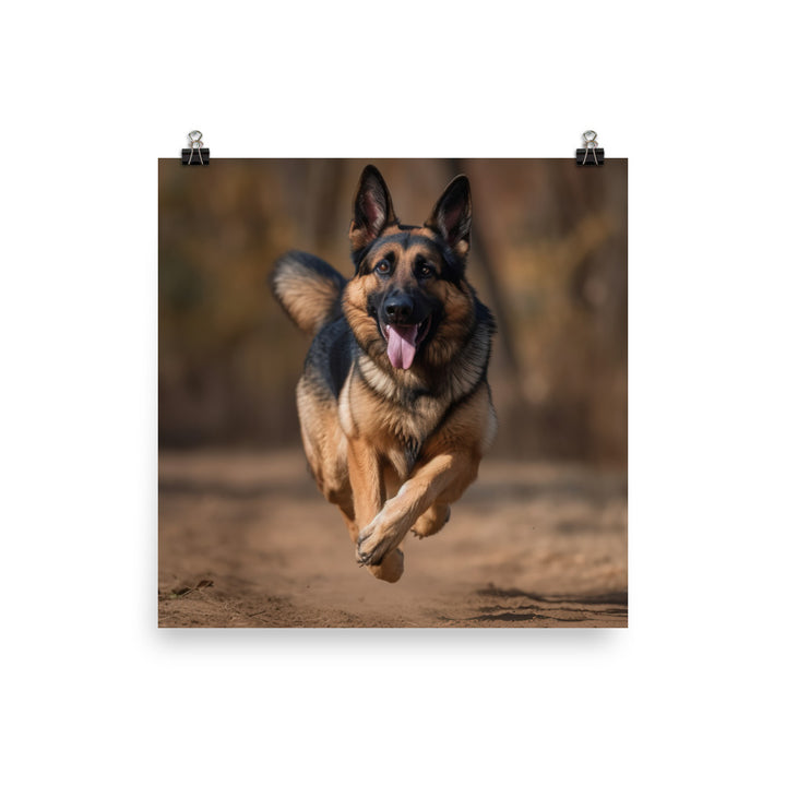 German Shepherd Photo paper poster - PosterfyAI.com