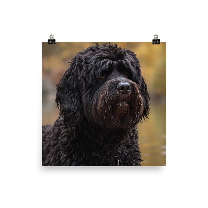 Portuguese Water Dog walk Photo paper poster - PosterfyAI.com