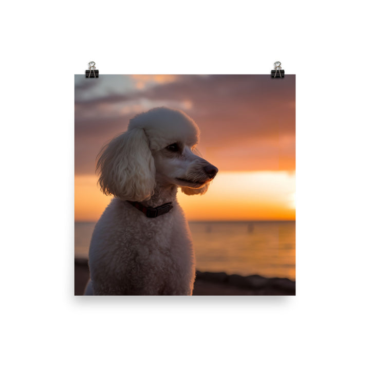 Poodle by the Seaside Photo paper poster - PosterfyAI.com