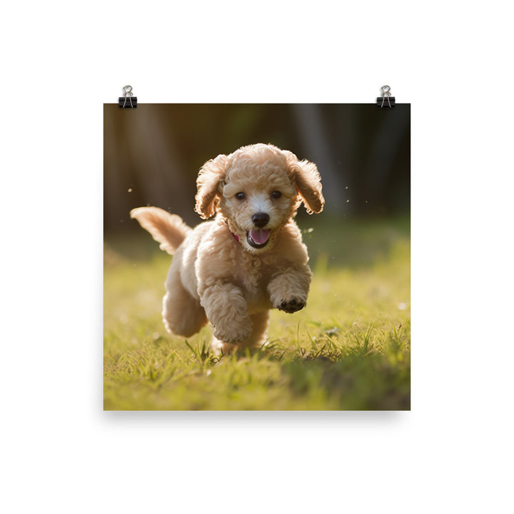 Playful Poodle Pup Photo paper poster - PosterfyAI.com