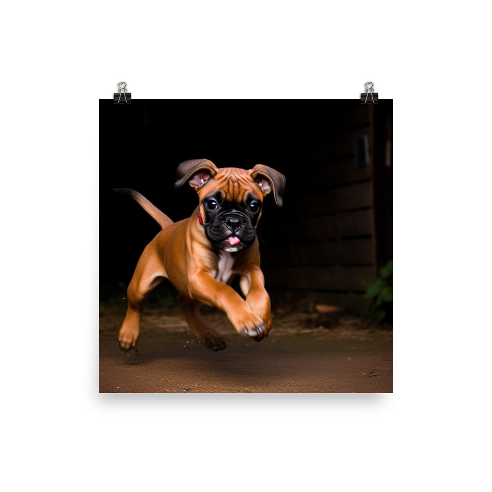 Playful Boxer Pup Photo paper poster - PosterfyAI.com