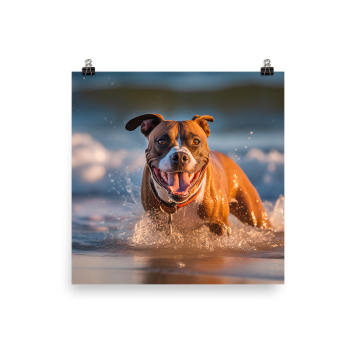 Playful American Staffordshire Terrier Photo paper poster - PosterfyAI.com