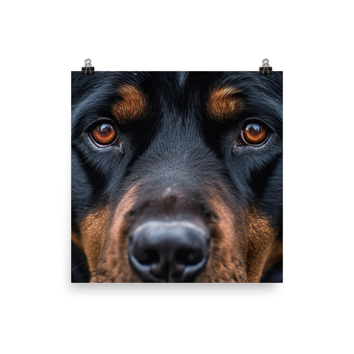 Rottweiler Photo paper poster - PosterfyAI.com