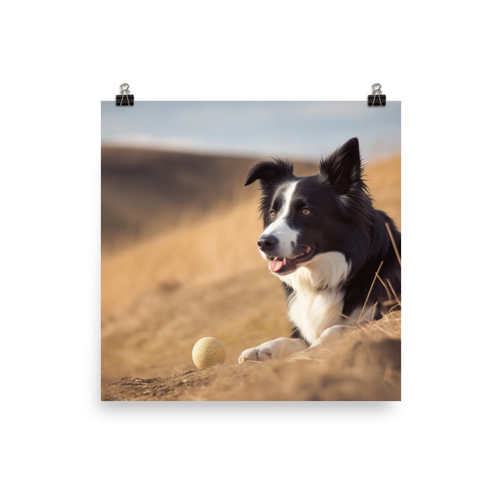Loyal Border Collie at Work Photo paper poster - PosterfyAI.com