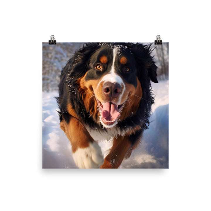 Happy Bernese Mountain Dog Photo paper poster - PosterfyAI.com