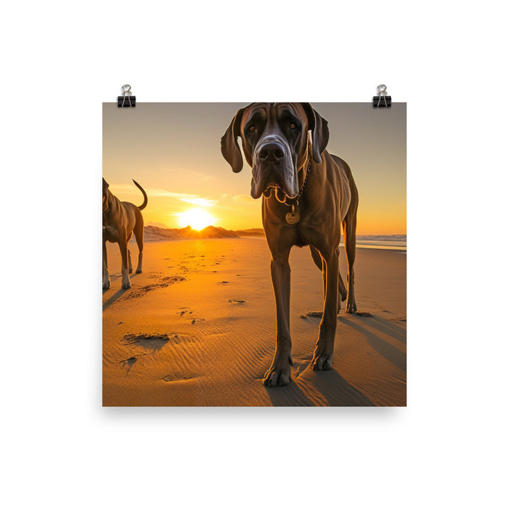 Great Danes at Sunset Photo paper poster - PosterfyAI.com