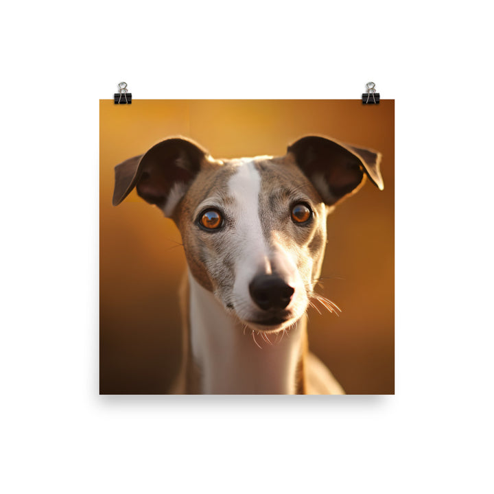 Graceful Whippet Photo paper poster - PosterfyAI.com