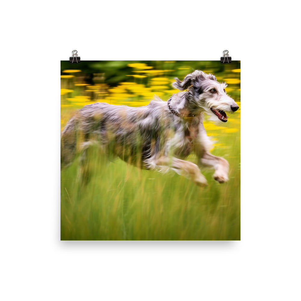 Graceful Scottish Deerhound in Action Photo paper poster - PosterfyAI.com
