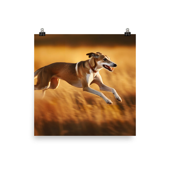 Graceful Greyhound Photo paper poster - PosterfyAI.com