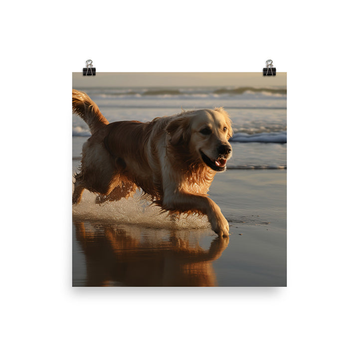 Golden Retriever at the Beach Photo paper poster - PosterfyAI.com