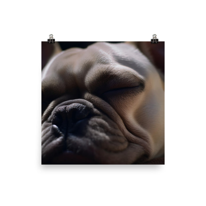 Frenchie dreams Photo paper poster - PosterfyAI.com