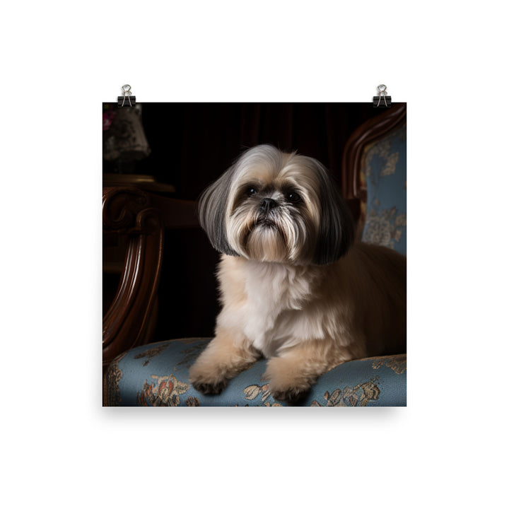 Elegant Shih Tzu Portrait Photo paper poster - PosterfyAI.com