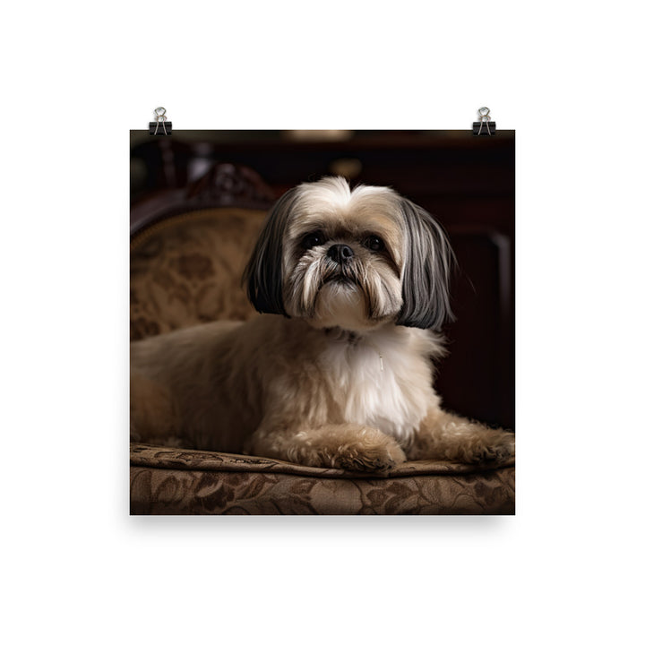 Elegant Shih Tzu Portrait Photo paper poster - PosterfyAI.com