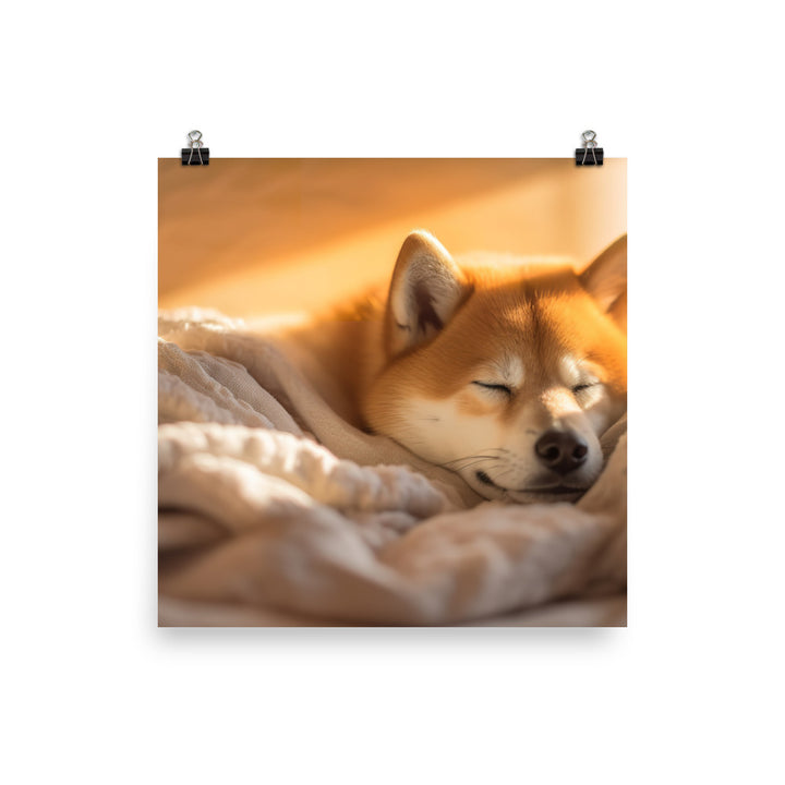 Cuddly Shiba Inu Resting Photo paper poster - PosterfyAI.com