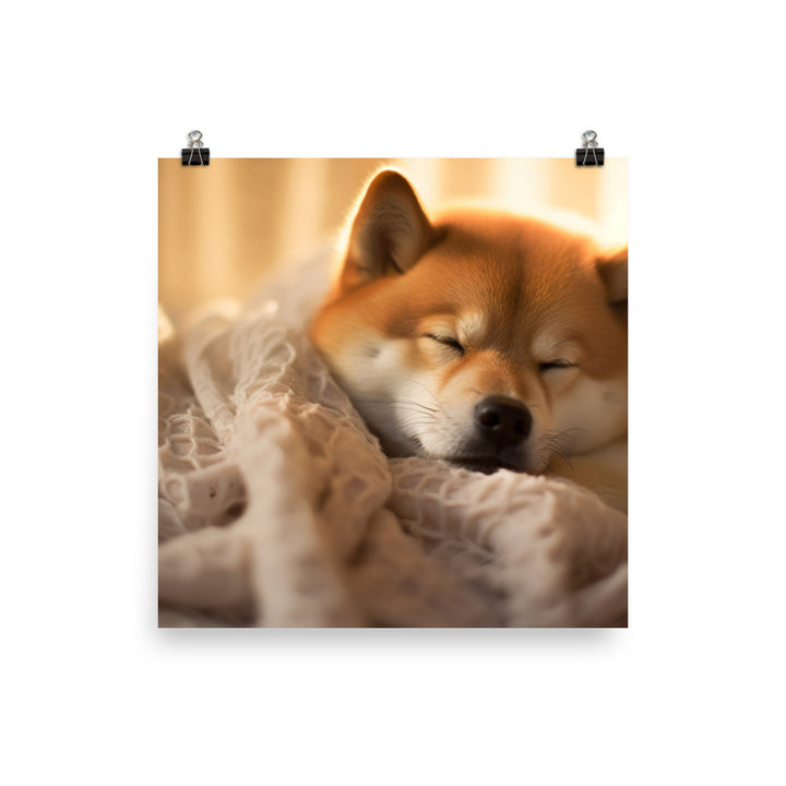 Cuddly Shiba Inu Resting Photo paper poster - PosterfyAI.com