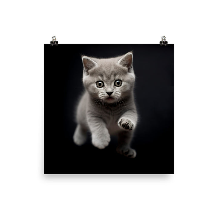 British Shorthair Kittens Photo paper poster - PosterfyAI.com