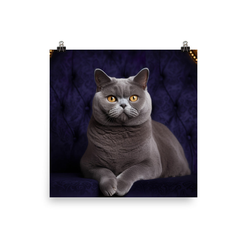 British Shorthair Cat in Portraits Photo paper poster - PosterfyAI.com