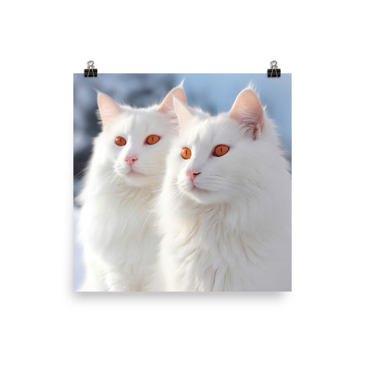 Turkish Van Cat in Winter Photo paper poster - PosterfyAI.com