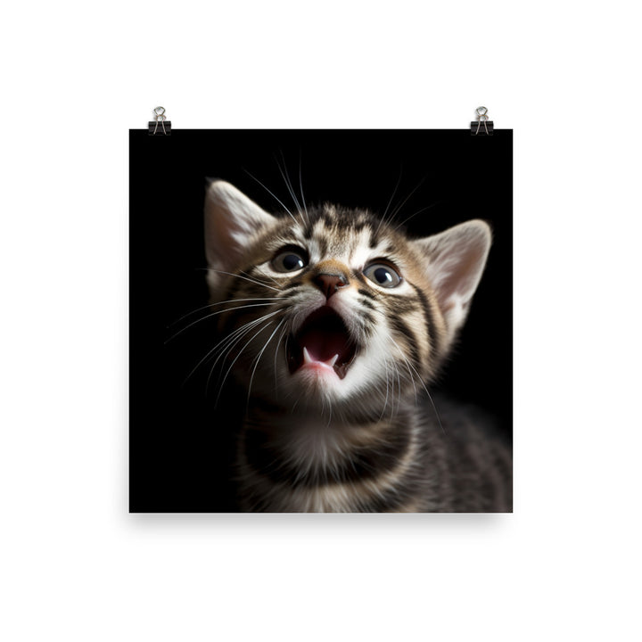 American Shorthair Cat Photo paper poster - PosterfyAI.com