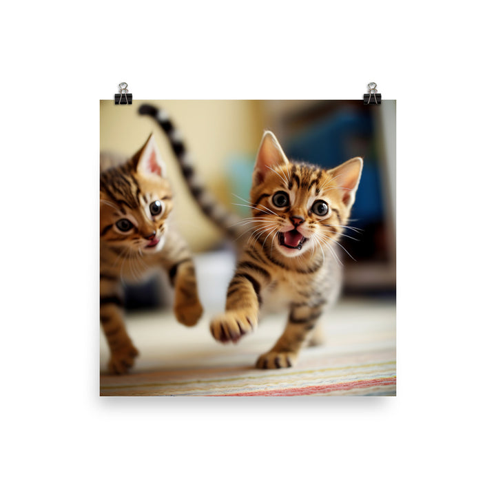 Bengal Kitten Photo paper poster - PosterfyAI.com