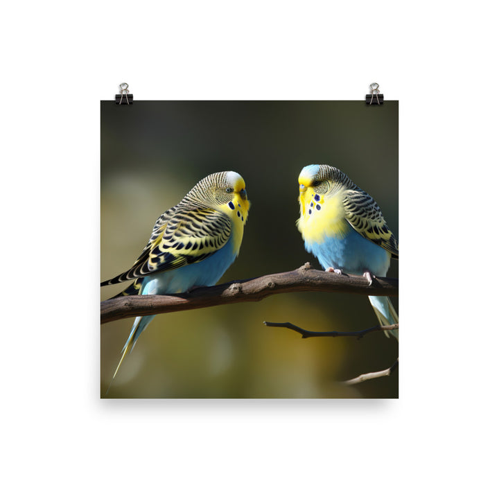 Budgie Pair on a Branch Photo paper poster - PosterfyAI.com