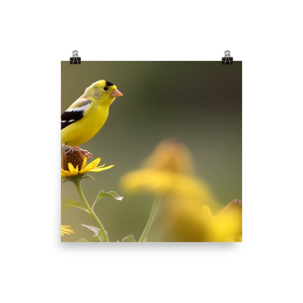 American Goldfinch in the Garden Photo paper poster - PosterfyAI.com