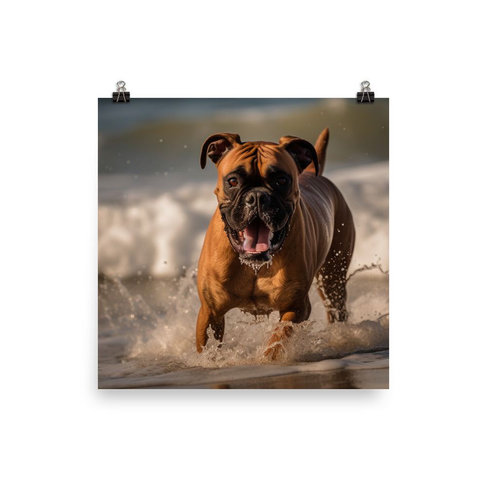 Boxer on the Beach Photo paper poster - PosterfyAI.com