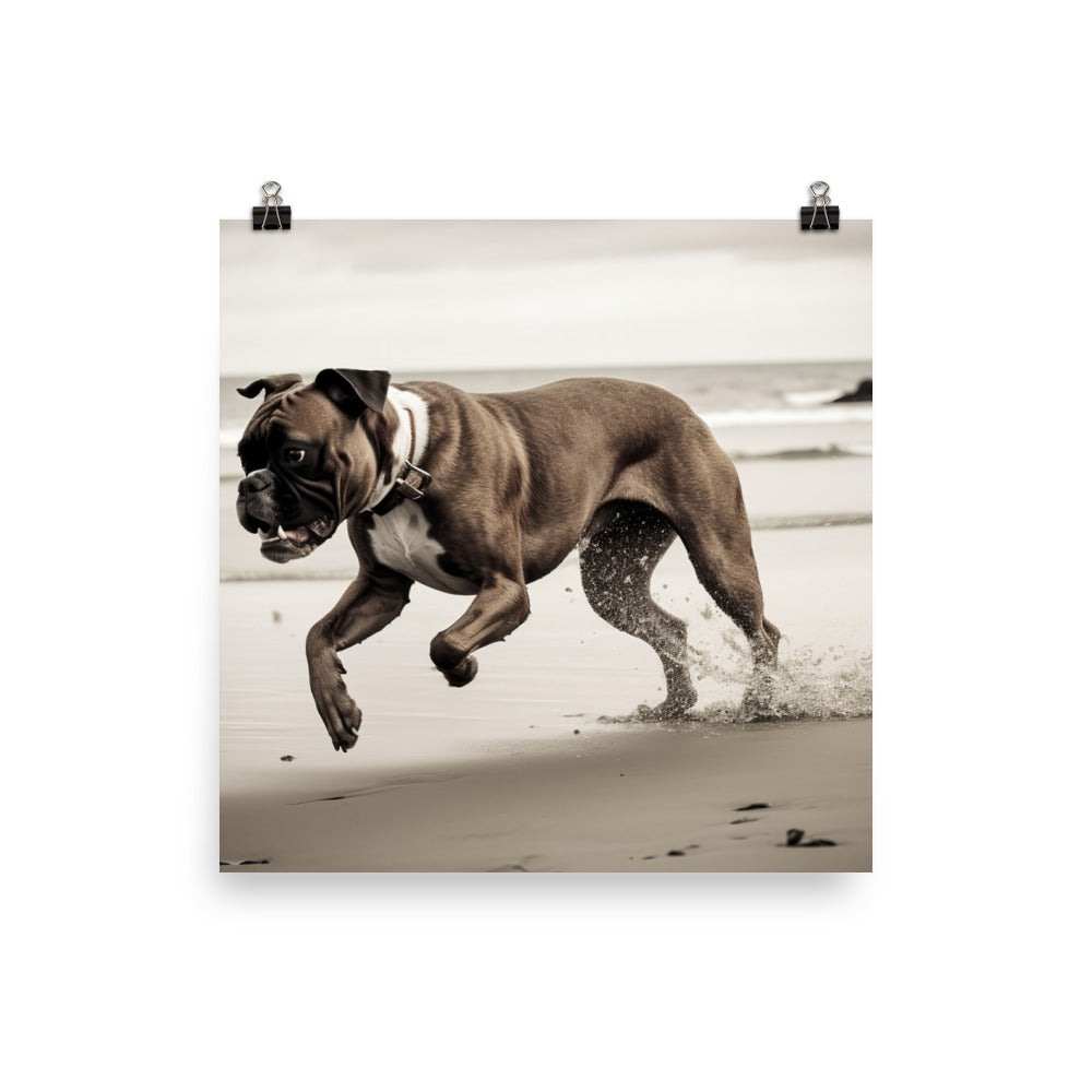 Boxer at the Beach Photo paper poster - PosterfyAI.com