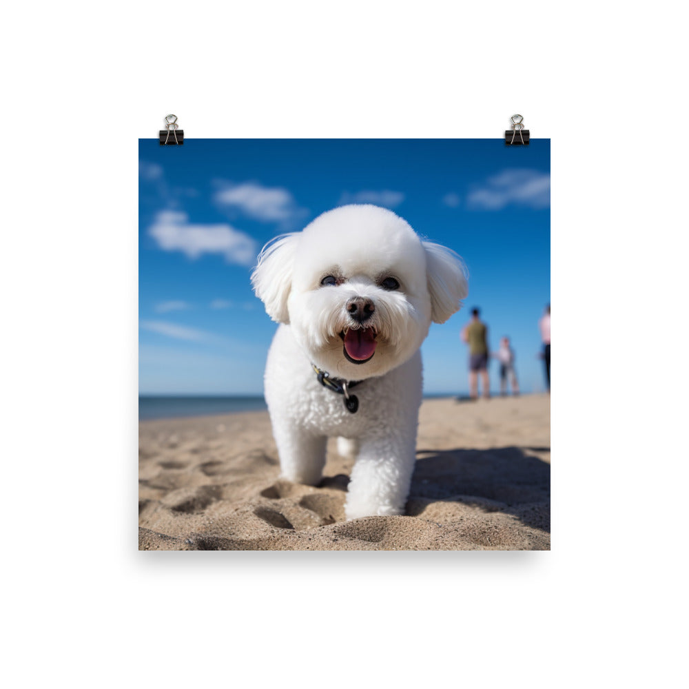 Bichon Frise on a Beach Photo paper poster - PosterfyAI.com