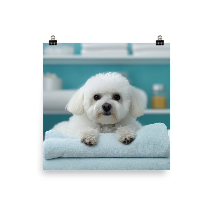 Bichon Frise in a Spa Photo paper poster - PosterfyAI.com