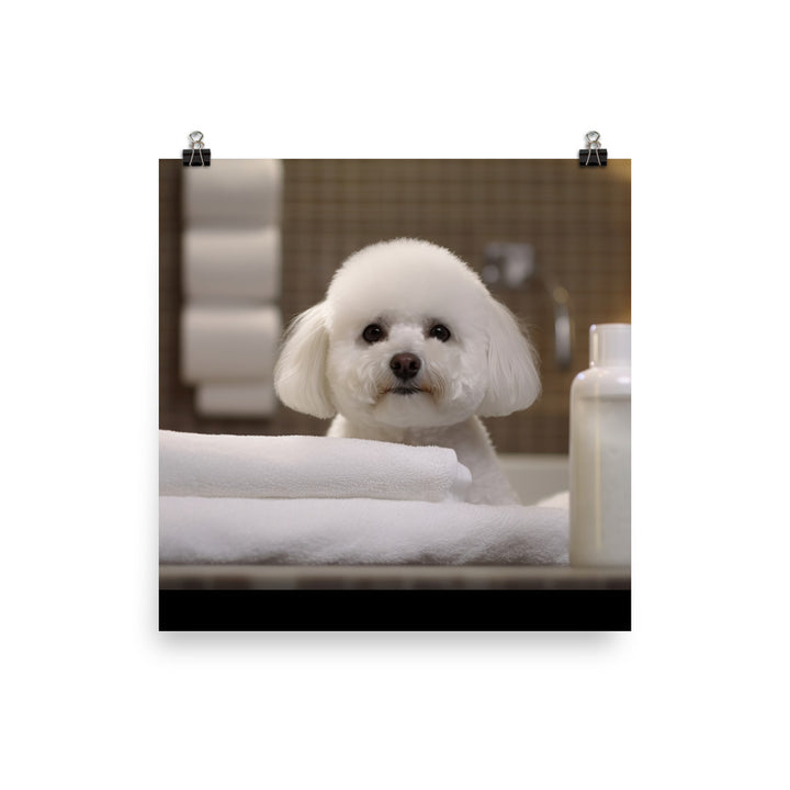 Bichon Frise in a Spa Photo paper poster - PosterfyAI.com