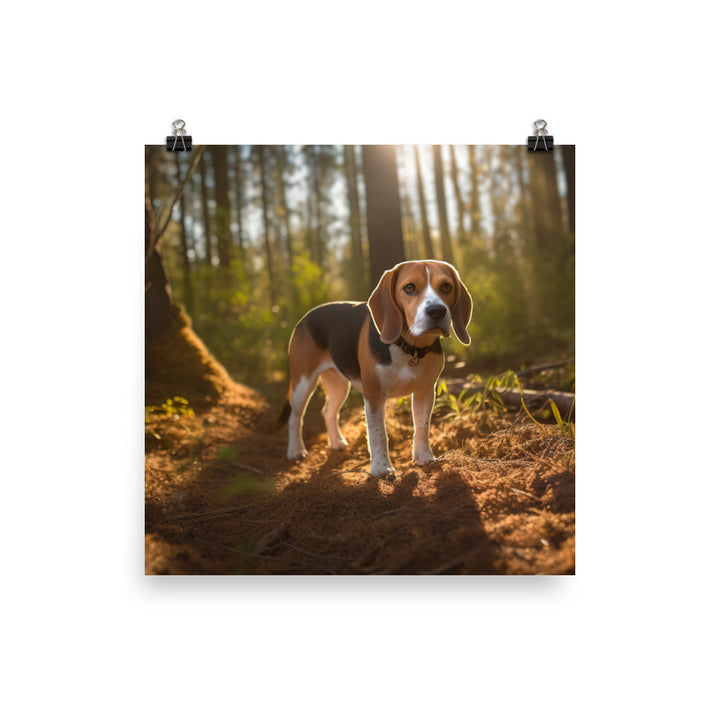 Beagle on the scent Photo paper poster - PosterfyAI.com