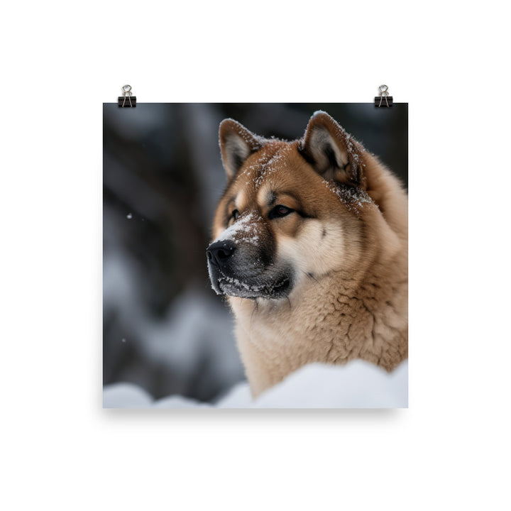 Akita in the Snow Photo paper poster - PosterfyAI.com