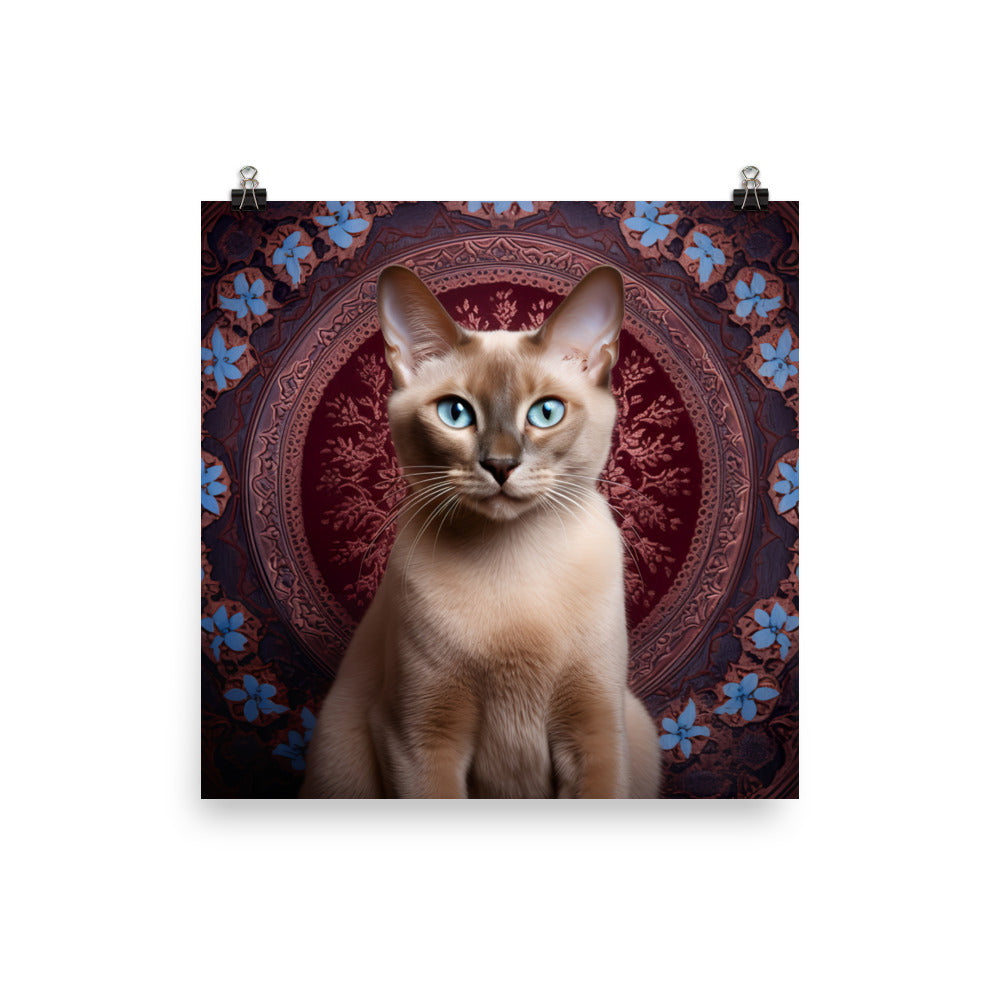 Luxurious Coat of Tonkinese Cat Photo paper poster - PosterfyAI.com