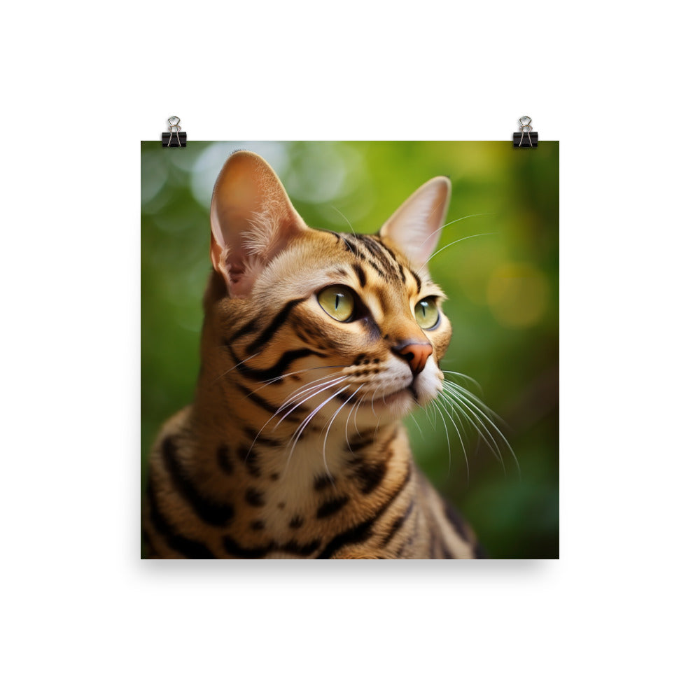 Wild Beauty of Ocicat Cat Photo paper poster - PosterfyAI.com