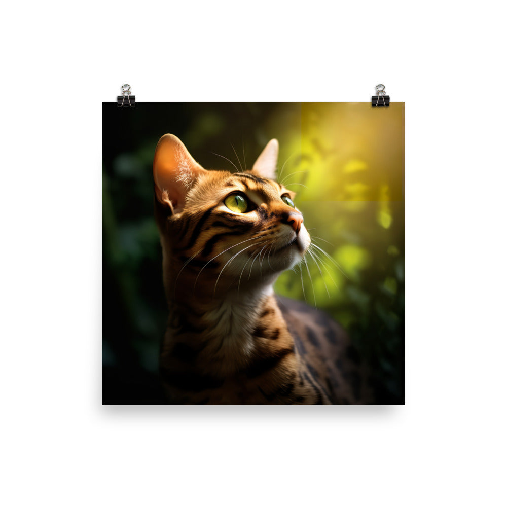 Wild Beauty of Ocicat Cat Photo paper poster - PosterfyAI.com